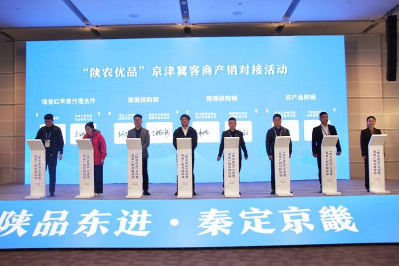 山西贸易公司：抓住机遇，携手共进